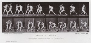 Die menschliche Figur in Bewegung: Boxer, Boxen von Eadweard Muybridge