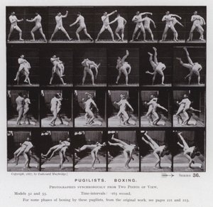 Die menschliche Figur in Bewegung: Boxer, Boxen