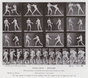 Die menschliche Figur in Bewegung: Boxer, Boxend von Eadweard Muybridge
