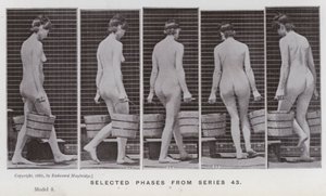 Die menschliche Figur in Bewegung: Ausgewählte Phasen aus Serie 43 von Eadweard Muybridge