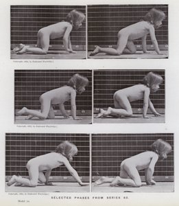 Die menschliche Figur in Bewegung: Ausgewählte Phasen aus Serie 83 von Eadweard Muybridge