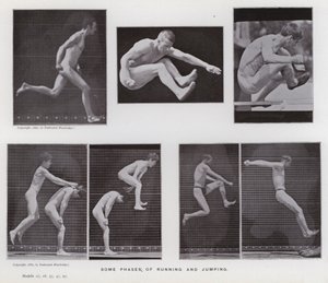 Die menschliche Figur in Bewegung: Einige Phasen des Laufens und Springens
