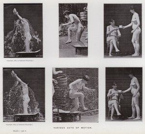 Die menschliche Figur in Bewegung: Verschiedene Bewegungsakte von Eadweard Muybridge