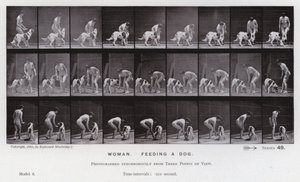 Die menschliche Figur in Bewegung: Frau, füttert einen Hund von Eadweard Muybridge