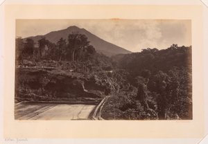 Vulkan Zunil, Guatemala von Eadweard Muybridge