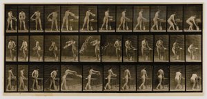 Frau, die ein Becken Wasser leert, aus dem Buch Animal Locomotion von Eadweard Muybridge