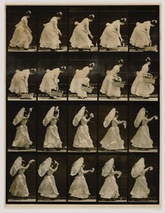 Frau hebt einen Korb, winkt mit einem Taschentuch, aus dem Buch Animal Locomotion von Eadweard Muybridge