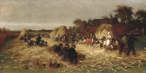 Maisernte auf Nantucket