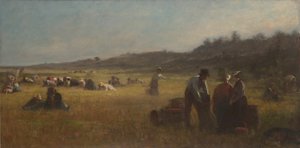 Cranberry-Pflücker, ca. 1878-79