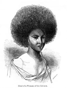 Kopf einer Frau der Cafusos, 1848 von Ebenezer Landells