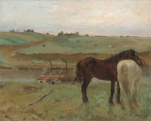 Pferde auf einer Wiese von Edgar Degas
