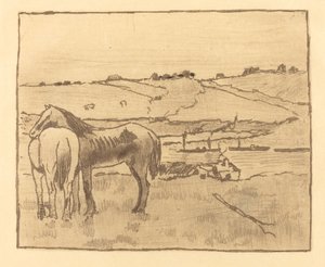 Pferde auf der Wiese Chevaux dans la prairie, 1891-1892 von Edgar Degas
