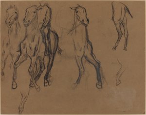 Studie von Pferden von Edgar Degas