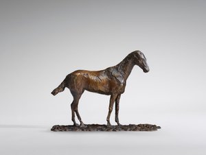 Studie eines Mustangs