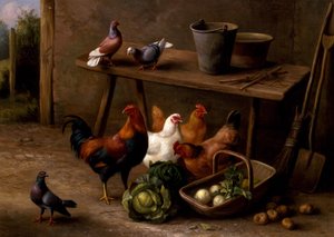 Hühner, Tauben und Tauben von Edgar Hunt