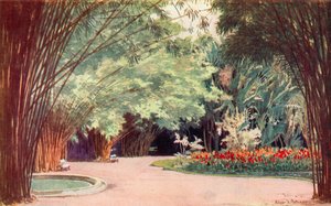 Ein Bambushain, Botanischer Garten