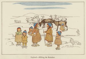Lappland, das Melken der Rentiere