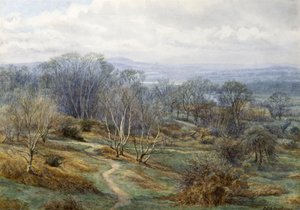 Hampstead Heath Blick auf Harrow on the Hill, ca. 1880
