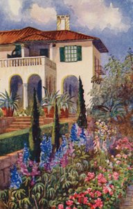 Eine Ecke des Gartens in der Villa Arcadia, Johannesburg von Edith Struben