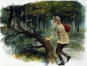 Kinderliteratur: von den Apenninen zu den Anden. Ein Junge allein im Wald (Zeichnung)