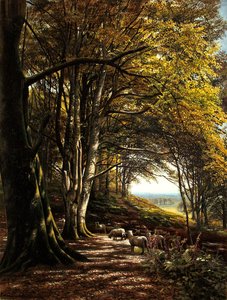Schafe weiden in einer Waldlichtung von Edmund George Warren