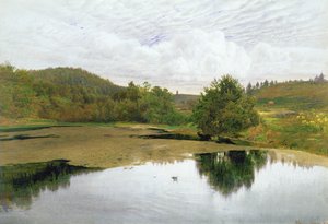 Der Teich, 1860