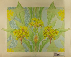 Indische Schusslilie