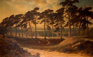 Harrow vom Ersten, Hampstead Heath, 1875