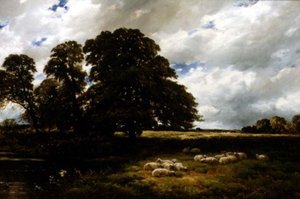 Landschaft mit Schafen von Edmund Morison Wimperis