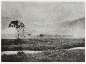 Oze Nebel, 1993 von Edouard Cremieux