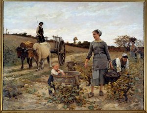 Ecke eines Weinbergs in Languedoc. Gemälde von Edouard Debat Ponsan (1847-1913) 1886 von Edouard Debat Ponsan