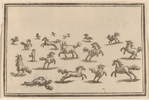 Pferde rennen