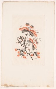Blumen und Knospen von Edouard Gautier Dagoty
