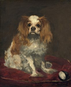 Ein King Charles Spaniel, ca. 1866