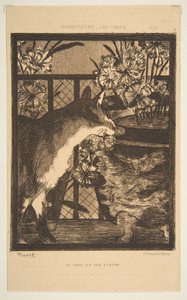 Katze und Blumen. Illustration zu Die Katzen von Champfleury, 1869 von Édouard Manet