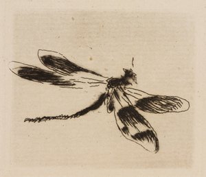 Libelle, Tafel 1 aus Le Fleuve