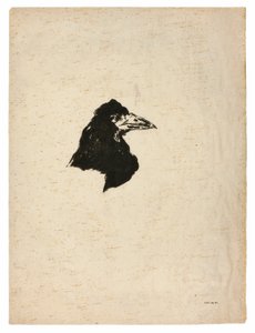 Kopf eines Raben im Profil, aus Der Rabe (Le Corbeau) von Édouard Manet