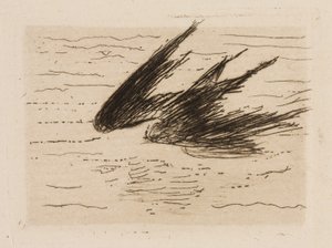 Schwalben, Platte 8 aus Le Fleuve von Édouard Manet