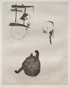 Die Katzen von Édouard Manet