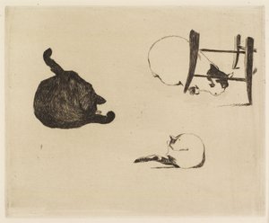 Die Katzen, 1869