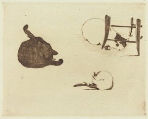 Die Katzen, 1869
