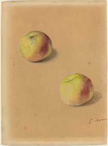Zwei Äpfel