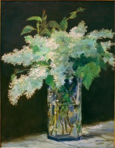 Blumenvase, weiße Flieder