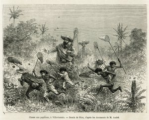 Eine Gruppe von Kindern jagt Schmetterlinge, begleitet vom Autor, in Villavicencio (Kolumbien), Zeichnung von Riou, um die Geschichte von Äquatorialamerika (Kolumbien, Ecuador, Peru) in 1875-1876 zu illustrieren, von Ed. André, Reisender im Auftrag der fra von Edouard Riou