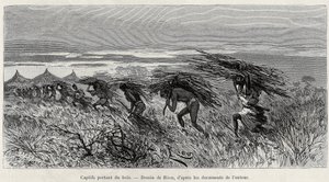Gefangene tragen Holz im Busch. Gravur von Riou zur Illustration der Geschichte From Niger to the Gulf of Guinee