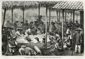 Hahnenkampf und Straßenanimation in Ibague (Kolumbien), Zeichnung von Riou, um die Geschichte von Äquatorialamerika (Kolumbien, Ecuador, Peru) in 1875-1876 von Ed. Andre, Reisemission beauftragt von der französischen Regierung, zu illustrieren. Gravur in L