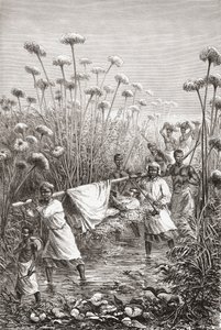 Dr. David Livingstone wird die letzten Meilen zum Dorf Tchitammbo, Afrika, kurz vor seinem Tod getragen, Illustration aus "The World in the Hands", graviert von Henri Theophile Hildibrand von Edouard Riou