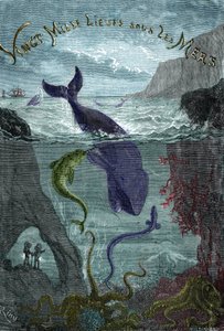Gravur des Buches von Jules Verne „Zwanzigtausend Meilen unter dem Meer“