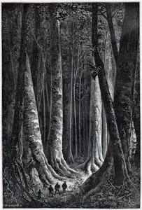 Wald von Französisch-Guayana, Zeichnung von Riou, „Le Tour du Monde“, 2. Halbjahr 1879