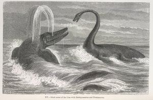 Ideale Szene des Lias mit Ichthyosaurus und Plesiosaurus